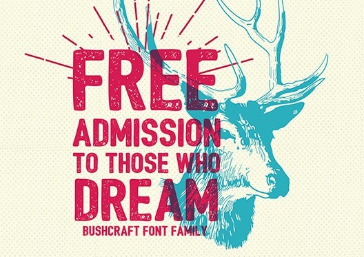 Bushcraft Font Family